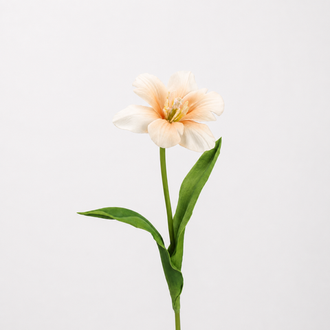 Blush Orange Bloom Tulip Stem 23"