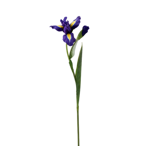 A single artificial purple and yellow iris flower on a long green stem, isolated against a solid white background.