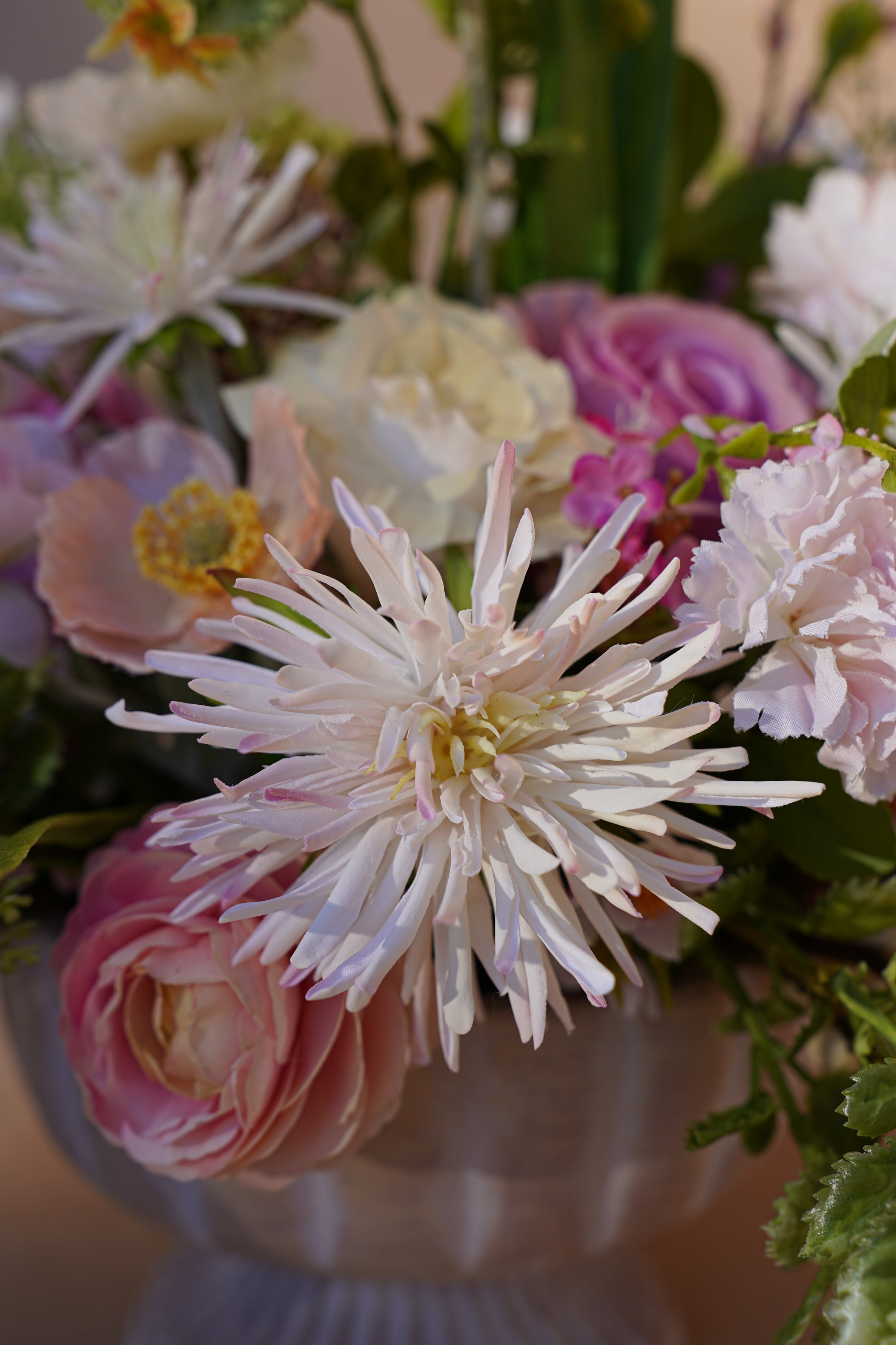 Living room collections