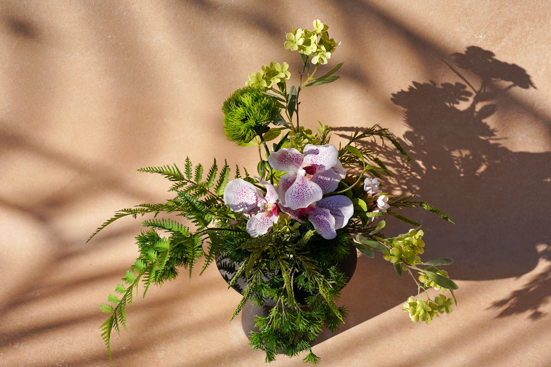 A walk to Japanese garden