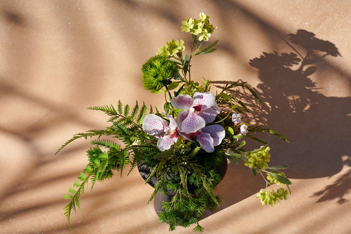 A walk to Japanese garden