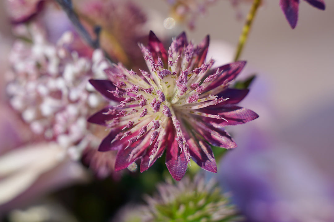 The Everlasting Love