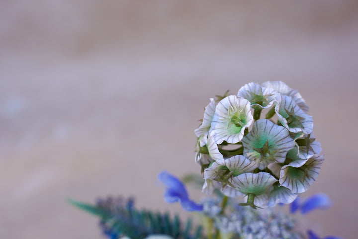 Coastal Blue Impression