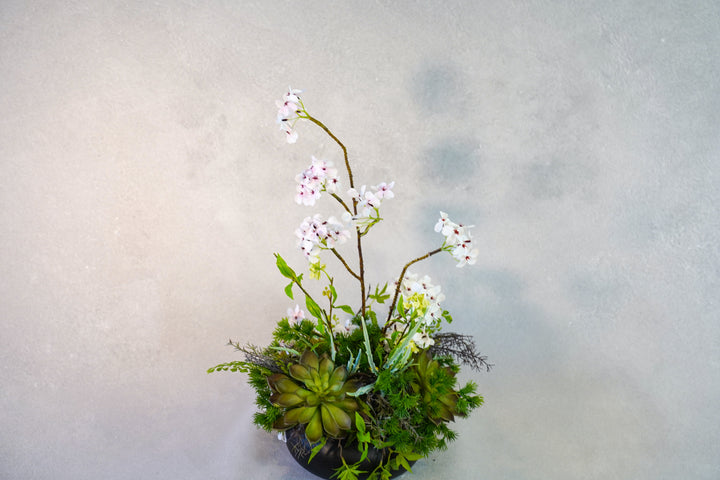 The Spring Time in Japan