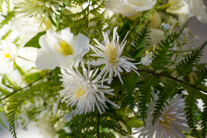 The Purest of the Sunlight