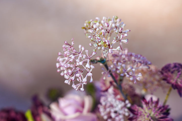 The Everlasting Love