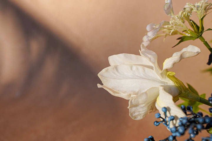 Midnight Secret Garden