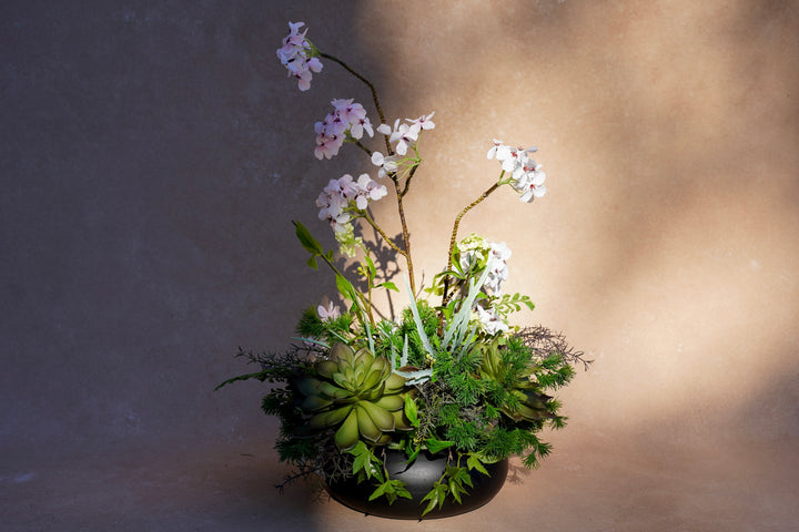 The Spring Time in Japan