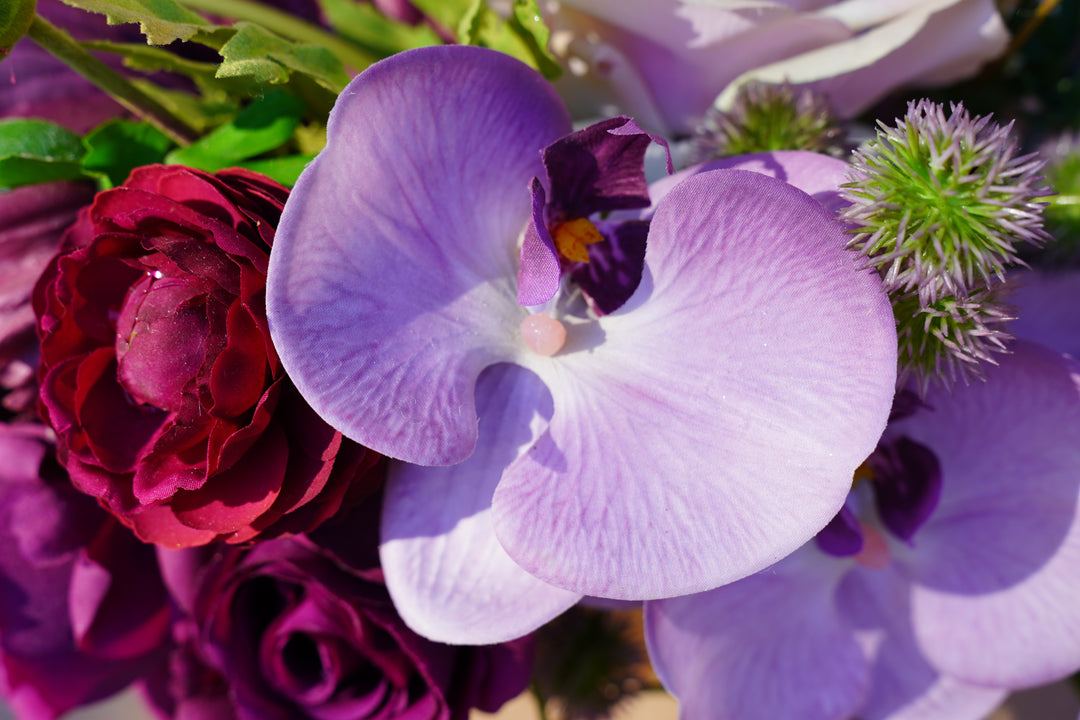 The Everlasting Love