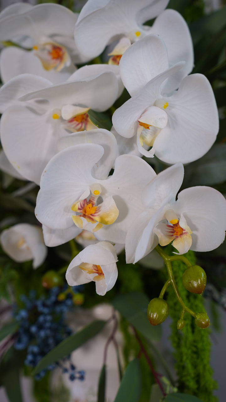 Orchid Canopy