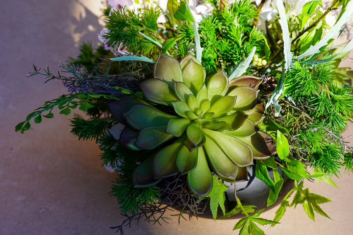 The Spring Time in Japan