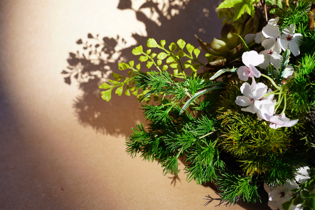 The Spring Time in Japan