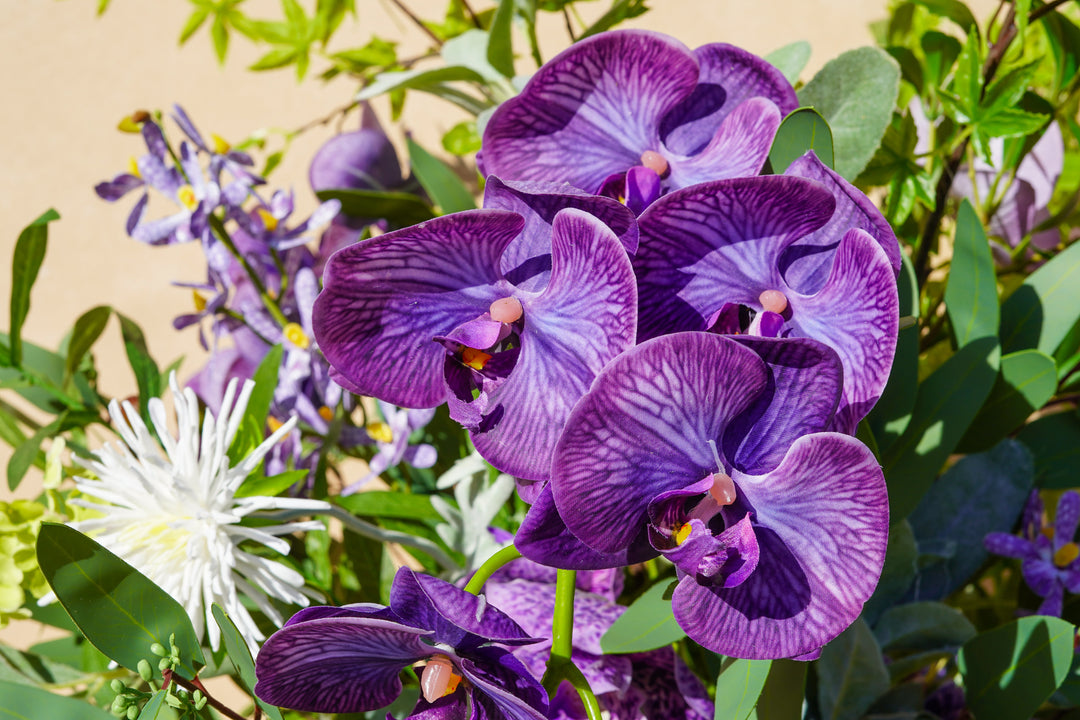 Morning Garden Memory