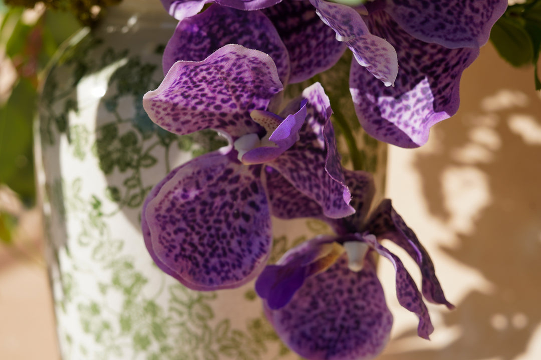 Morning Garden Memory