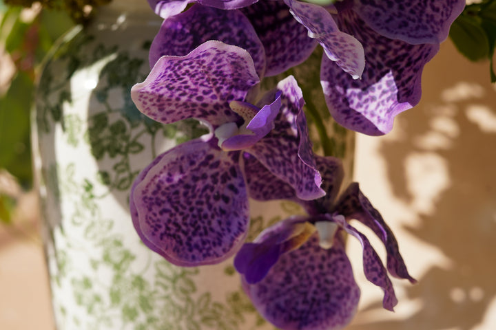 Morning Garden Memory