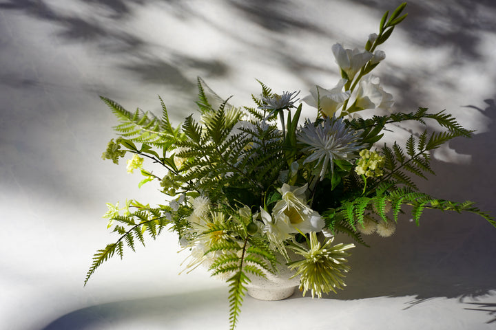 The Purest of the Sunlight