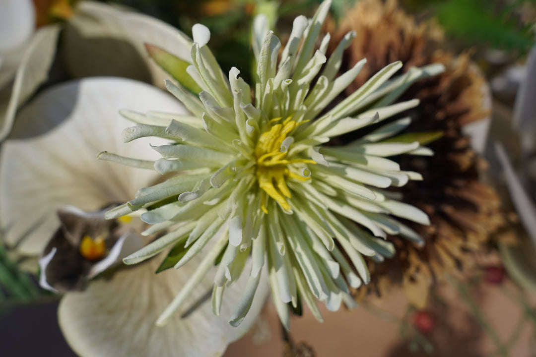 Meadowlight Reception