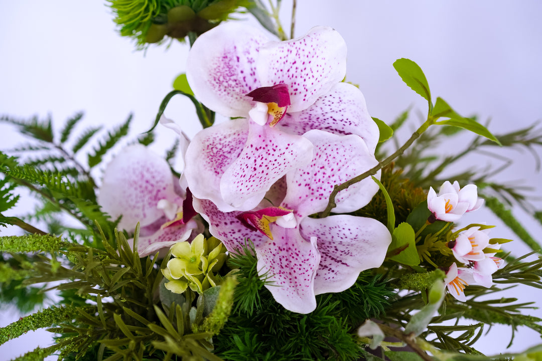 A walk to Japanese garden