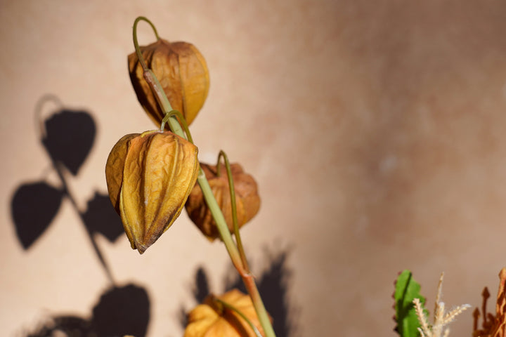 The Whisper of the Desert