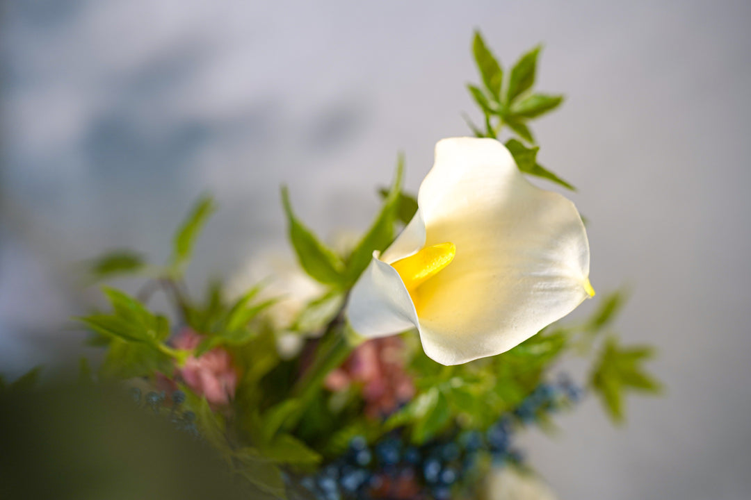 Midnight Secret Garden