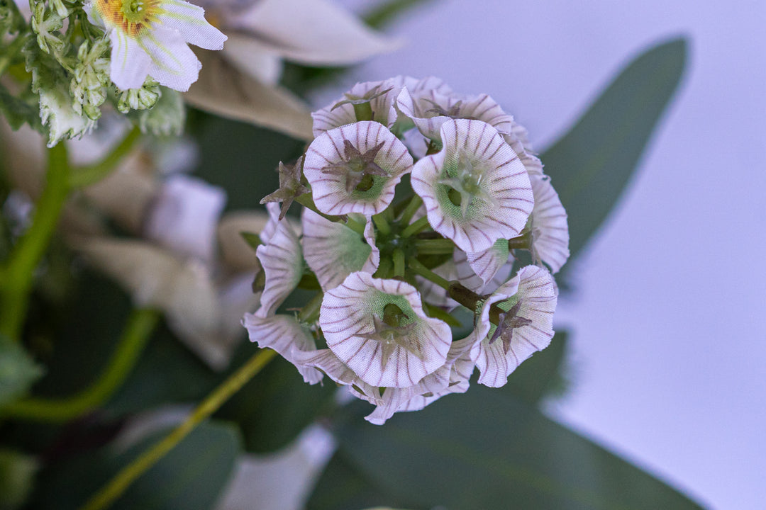 The Endless Summer Green