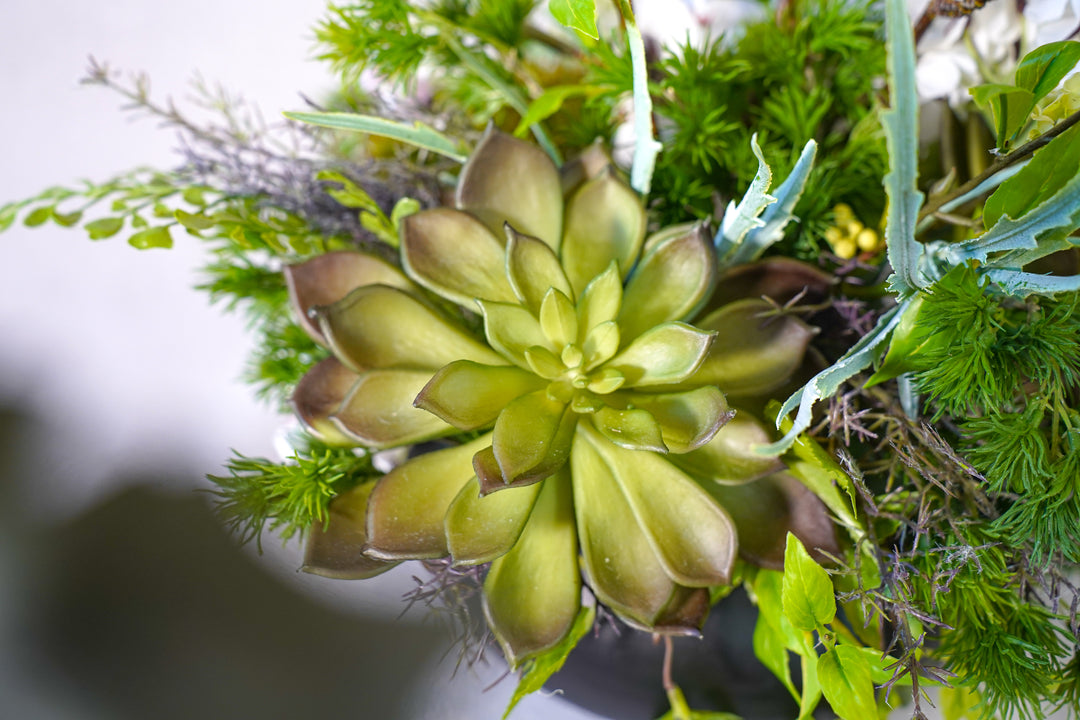 The Spring Time in Japan