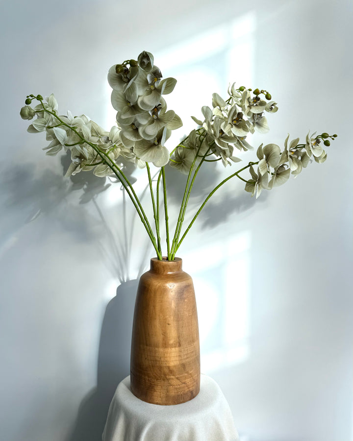 Green orchid in wood vase