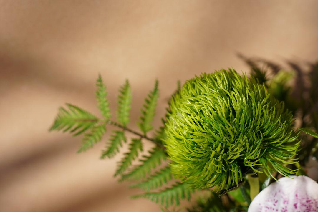 A walk to Japanese garden