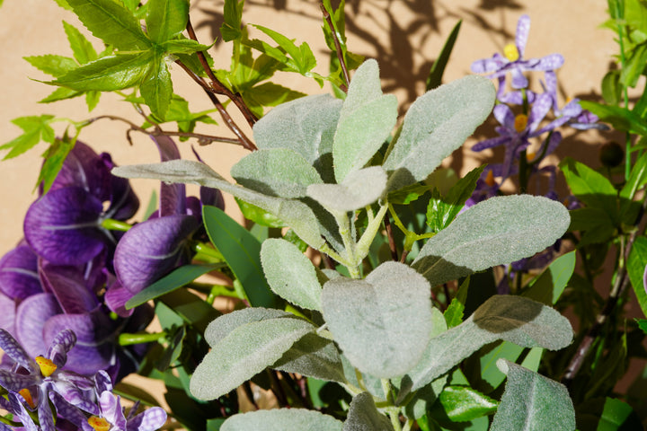 Morning Garden Memory