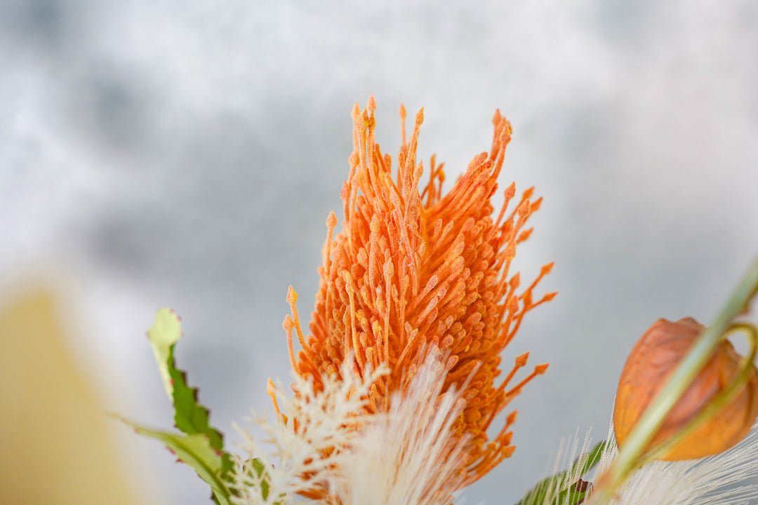 The Whisper of the Desert