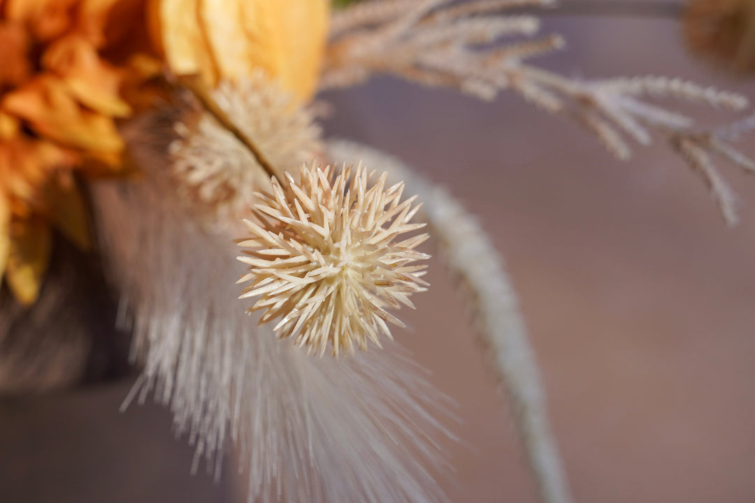 The Whisper of the Desert