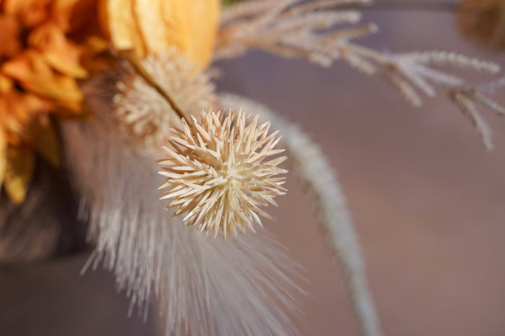 The Whisper of the Desert