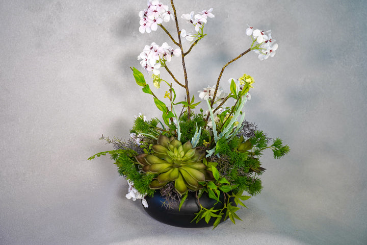 The Spring Time in Japan