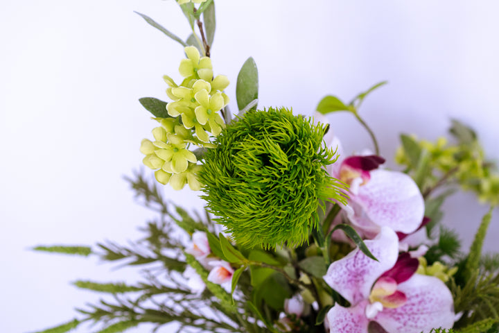 A walk to Japanese garden