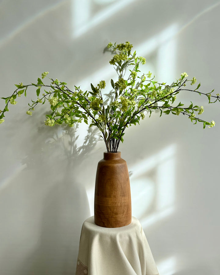 Viburnum Blossoms Stem in Green