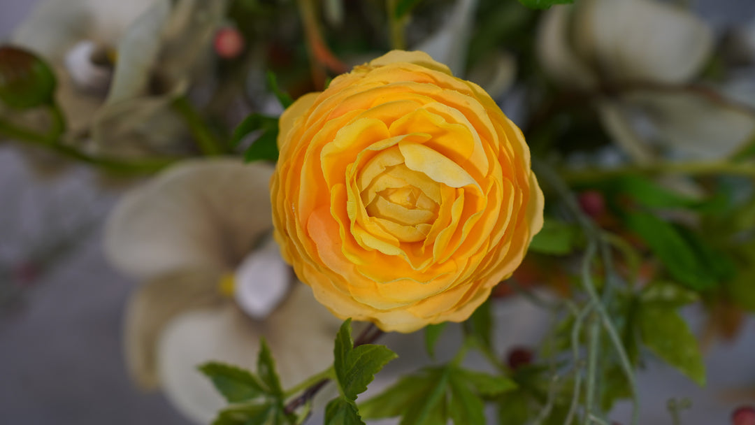 Meadowlight Reception