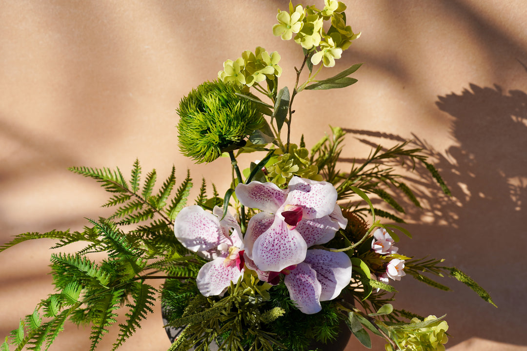 A walk to Japanese garden