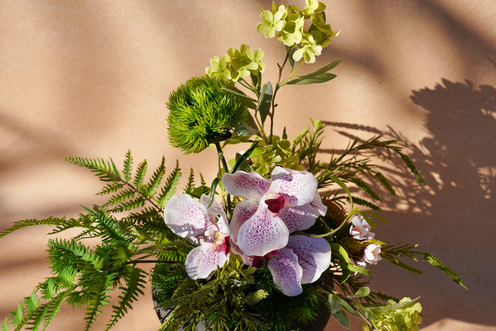 A walk to Japanese garden