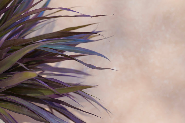 The Crimson Bloom Sculpture