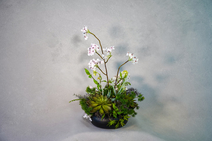 The Spring Time in Japan