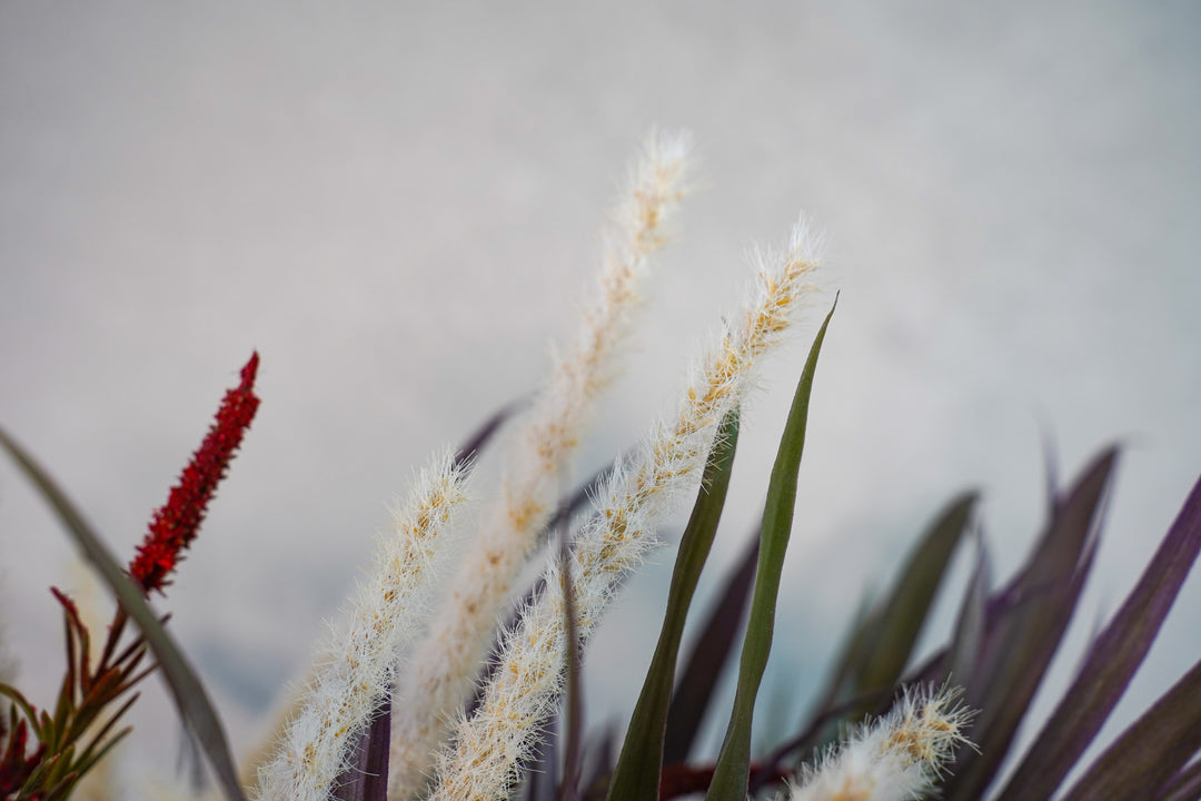 The Crimson Bloom Sculpture