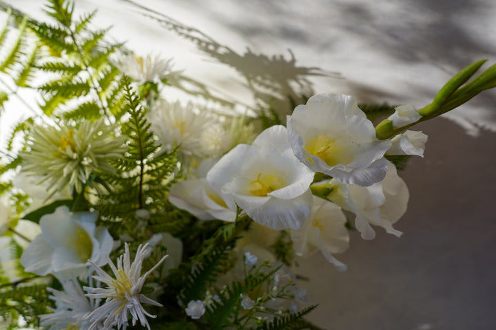 The Purest of the Sunlight