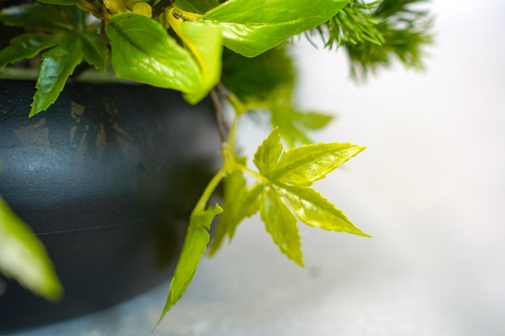 The Spring Time in Japan