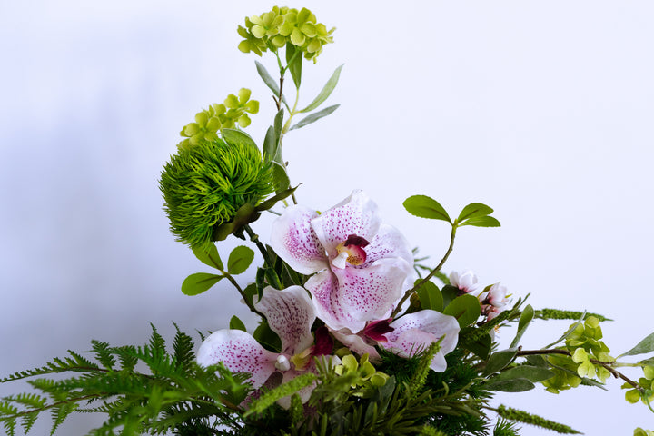 A walk to Japanese garden