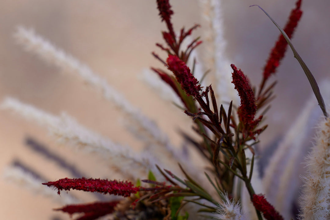 The Crimson Bloom Sculpture