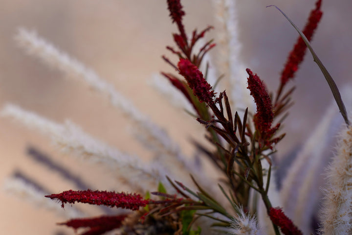 The Crimson Bloom Sculpture