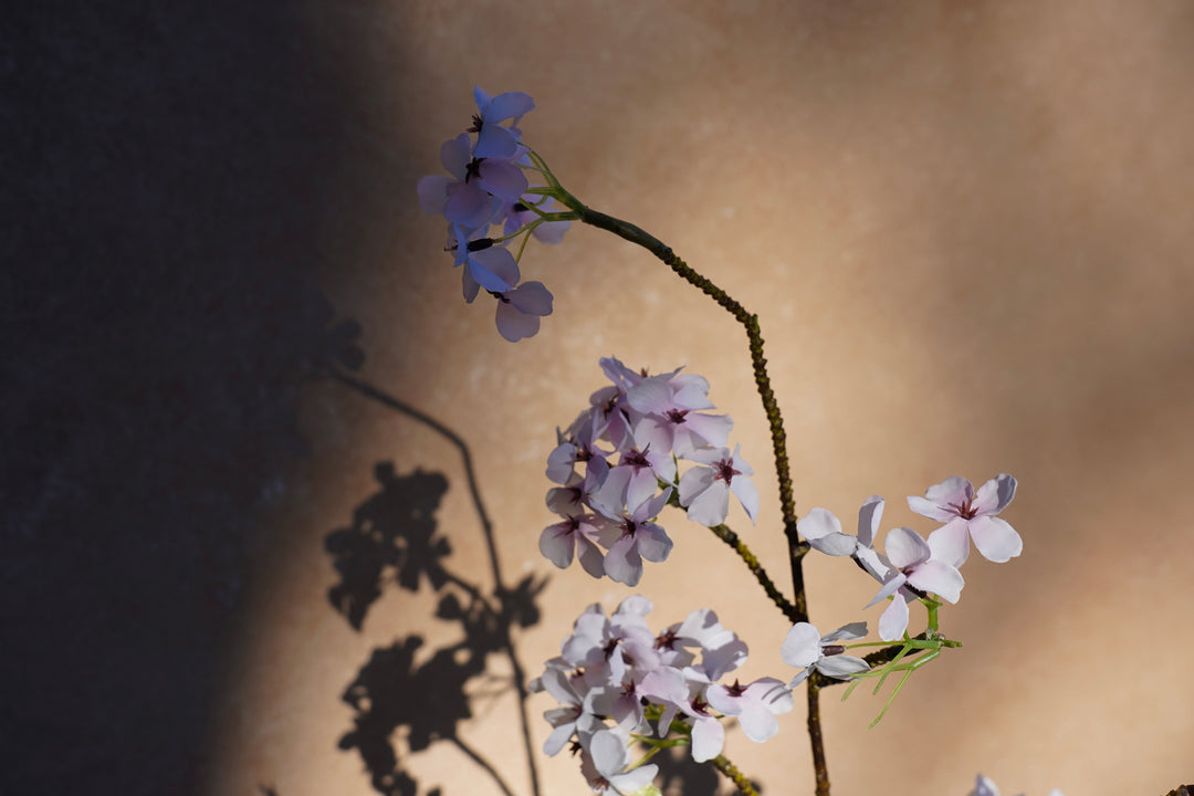 The Spring Time in Japan