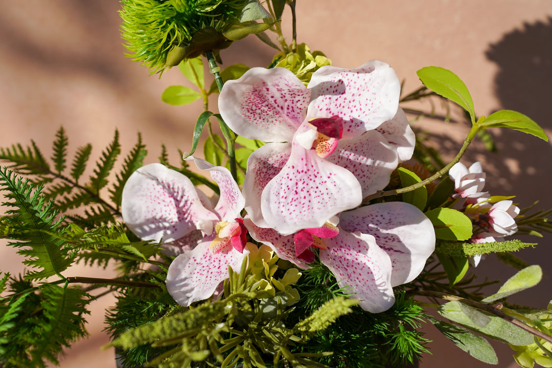 A walk to Japanese garden