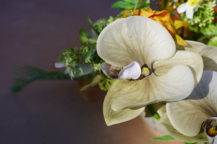 Meadowlight Reception