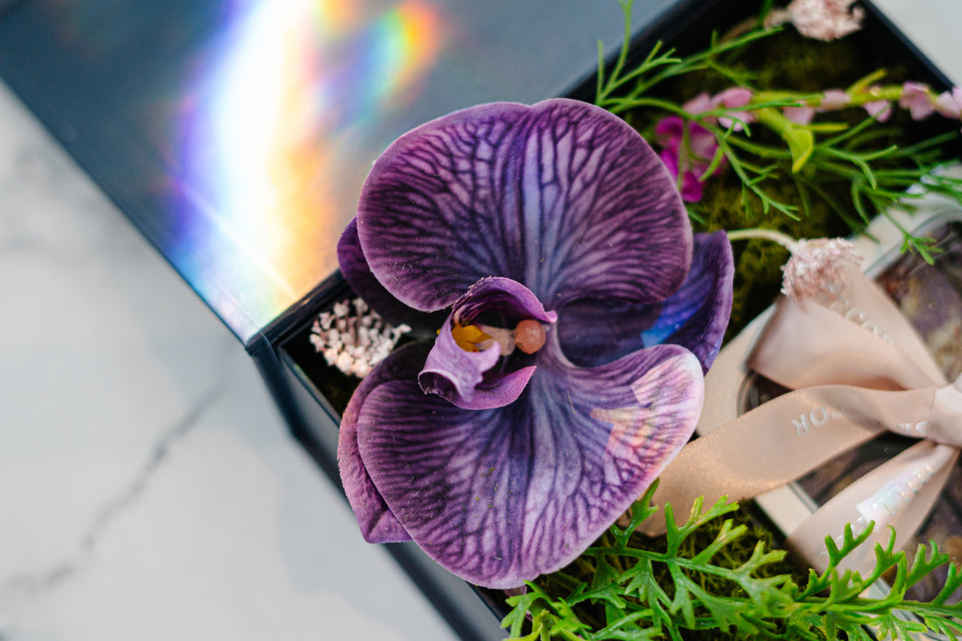 Violet Bloom Box